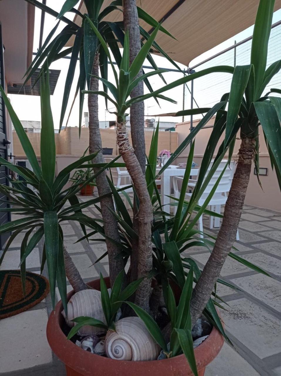 D'Annunzio Home Nardò Dış mekan fotoğraf